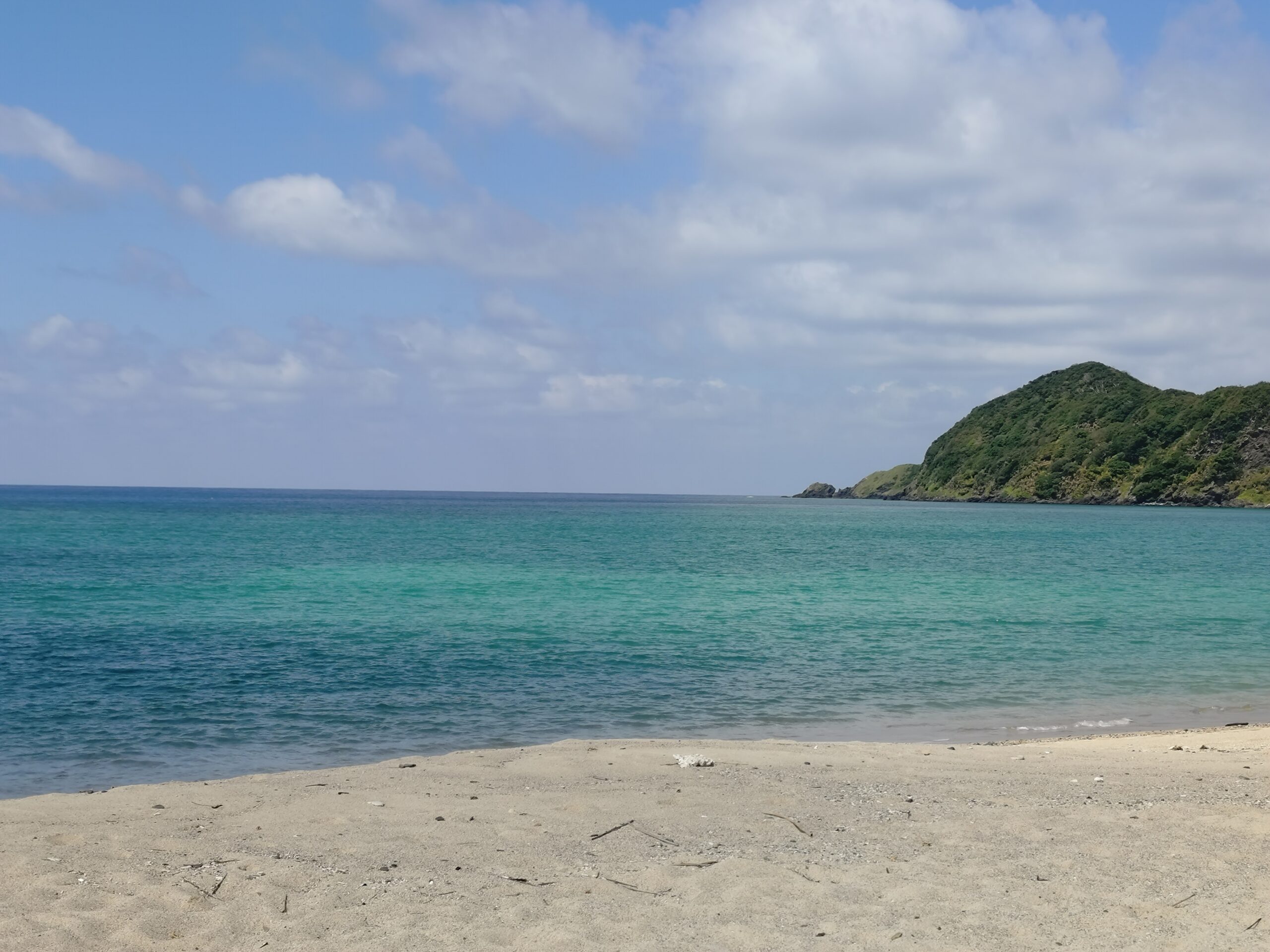 久しぶりの奄美大島帰省―心あたたまる3日間の旅 | 鹿児島カード